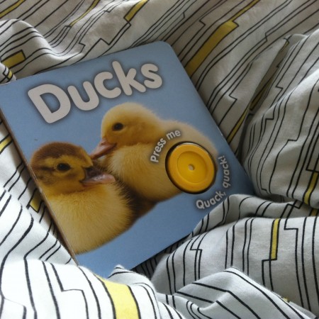M&S Duck Sound Book