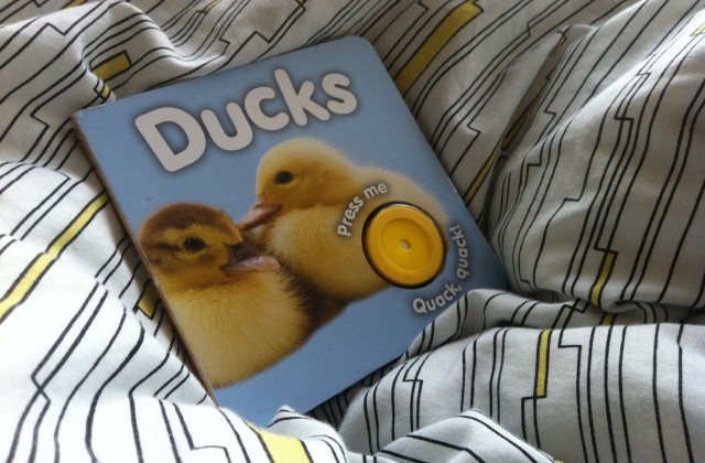 M&S Duck Sound Book