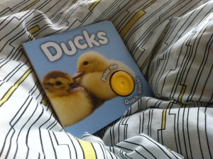 M&S Duck Sound Book