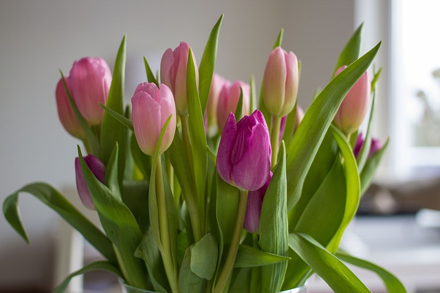 Mummy and Boo's favourite Blooms