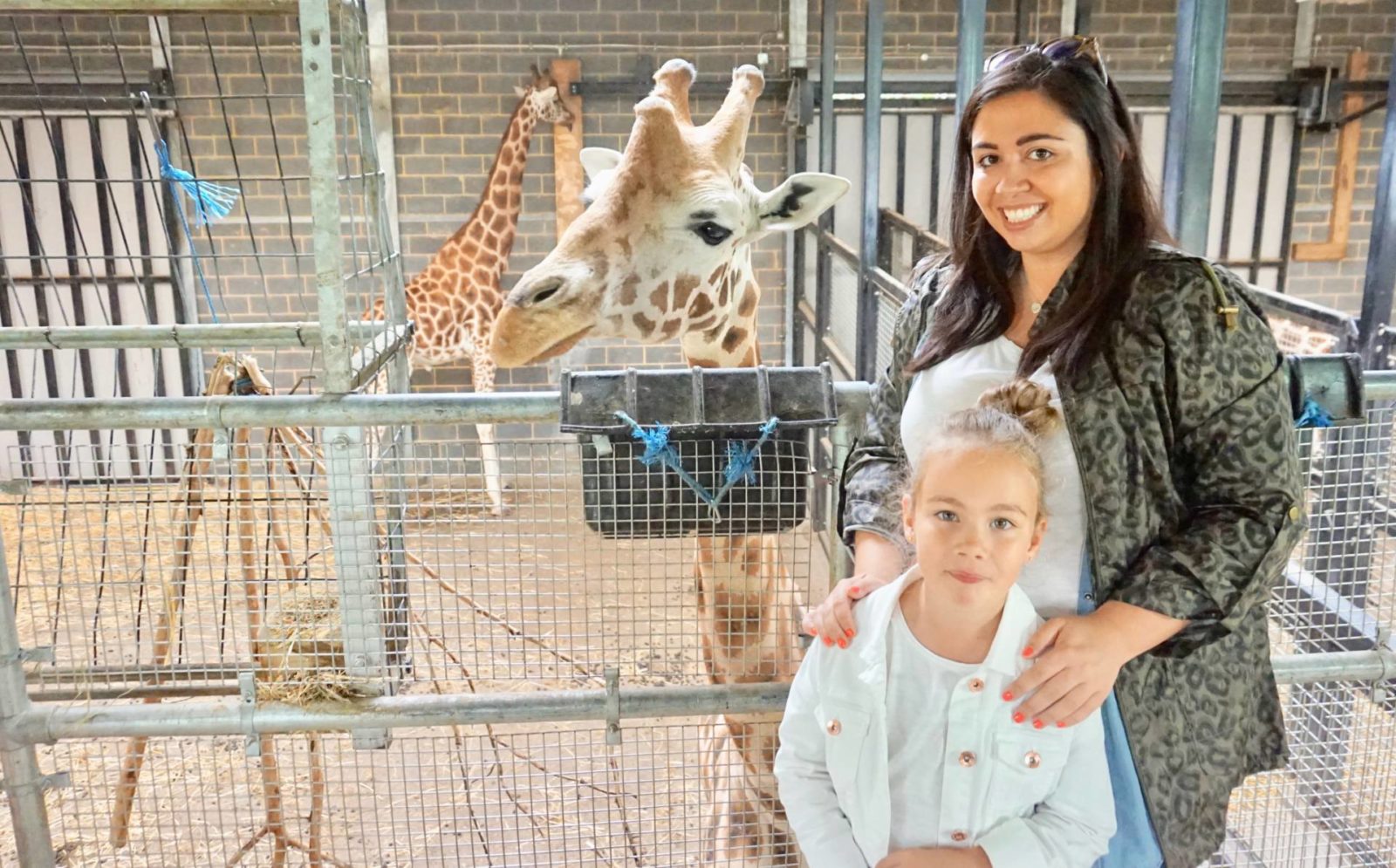 Giraffe-Feeding-Experience-at-Chessington