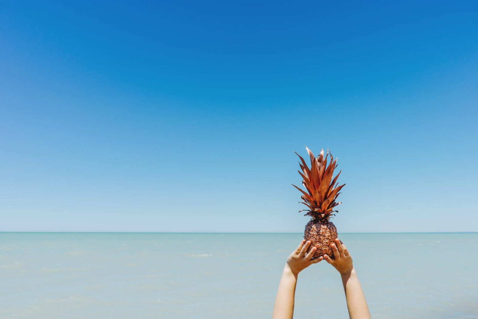 How to Bring The Tastes of Your Family Holiday Back Home