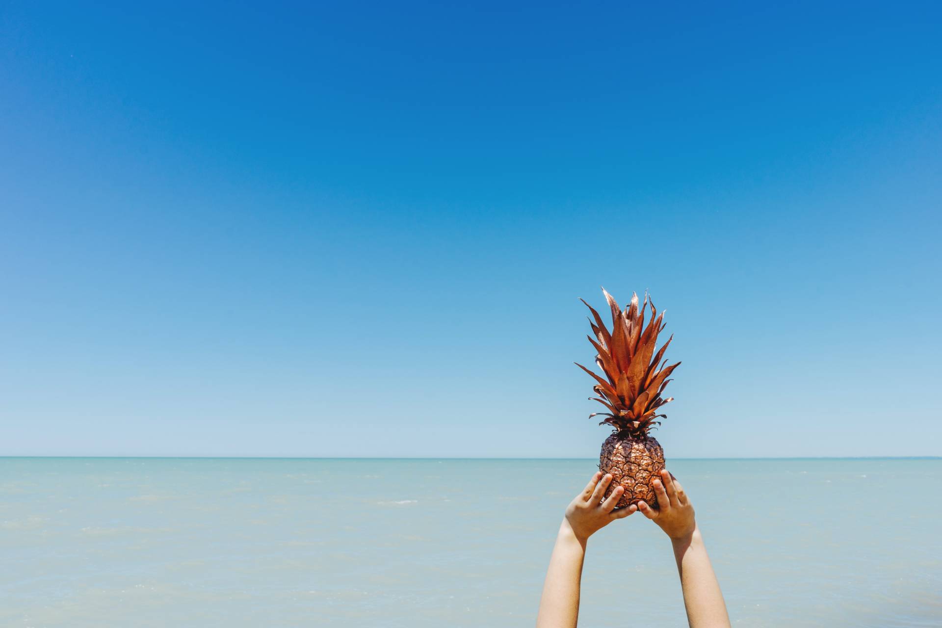 person holding pineapple