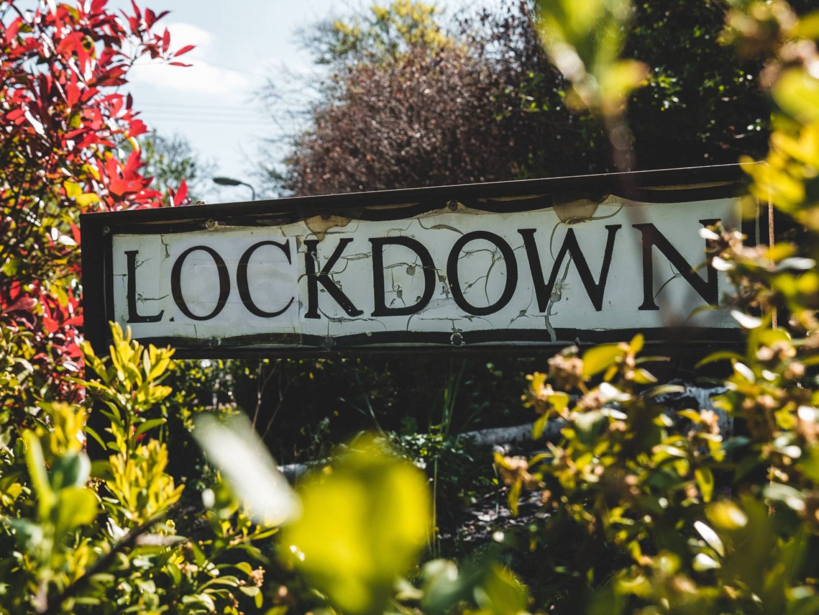 street sign  with Lockdown surrounded by bushes