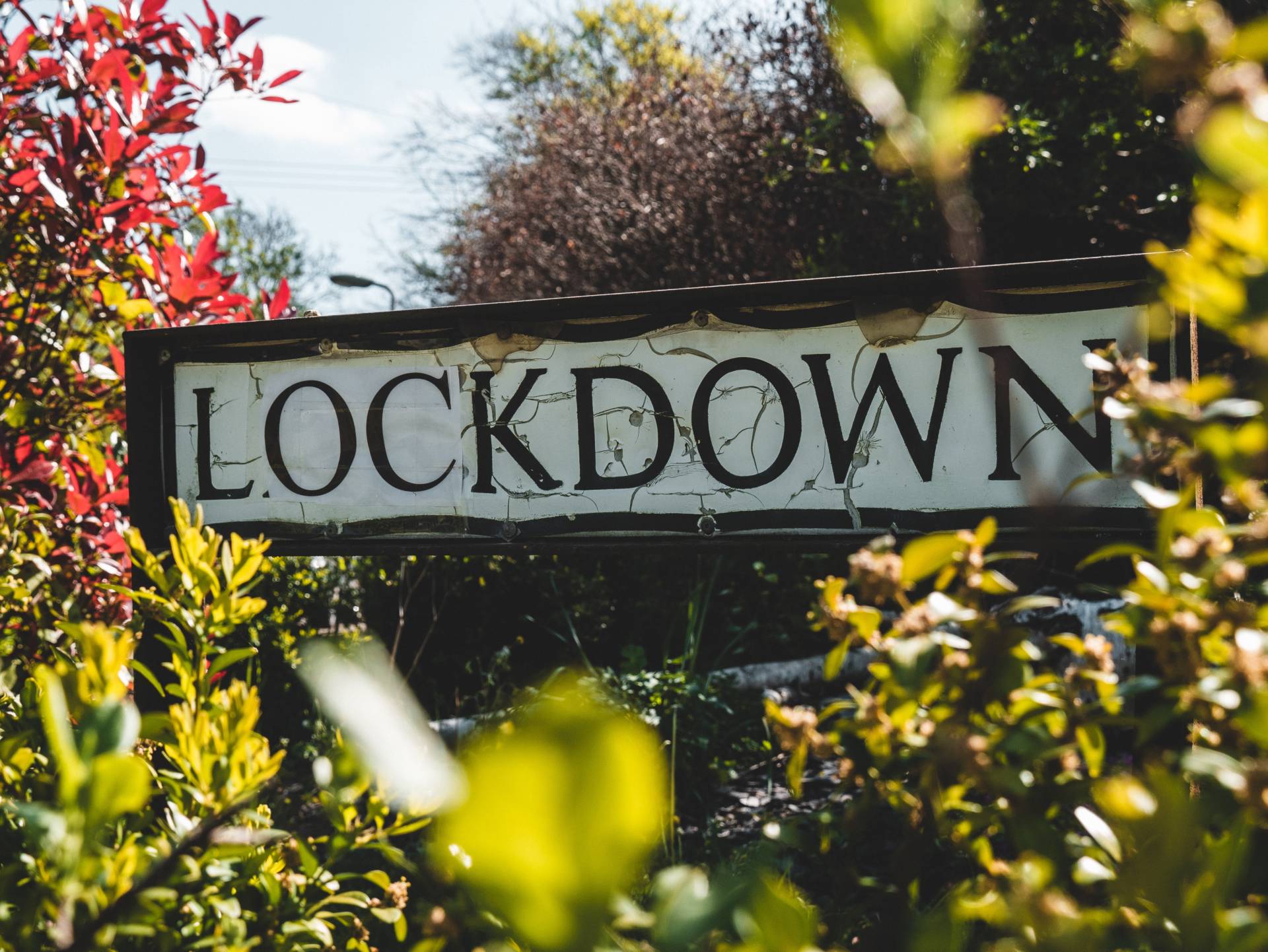 street sign with Lockdown surrounded by bushes