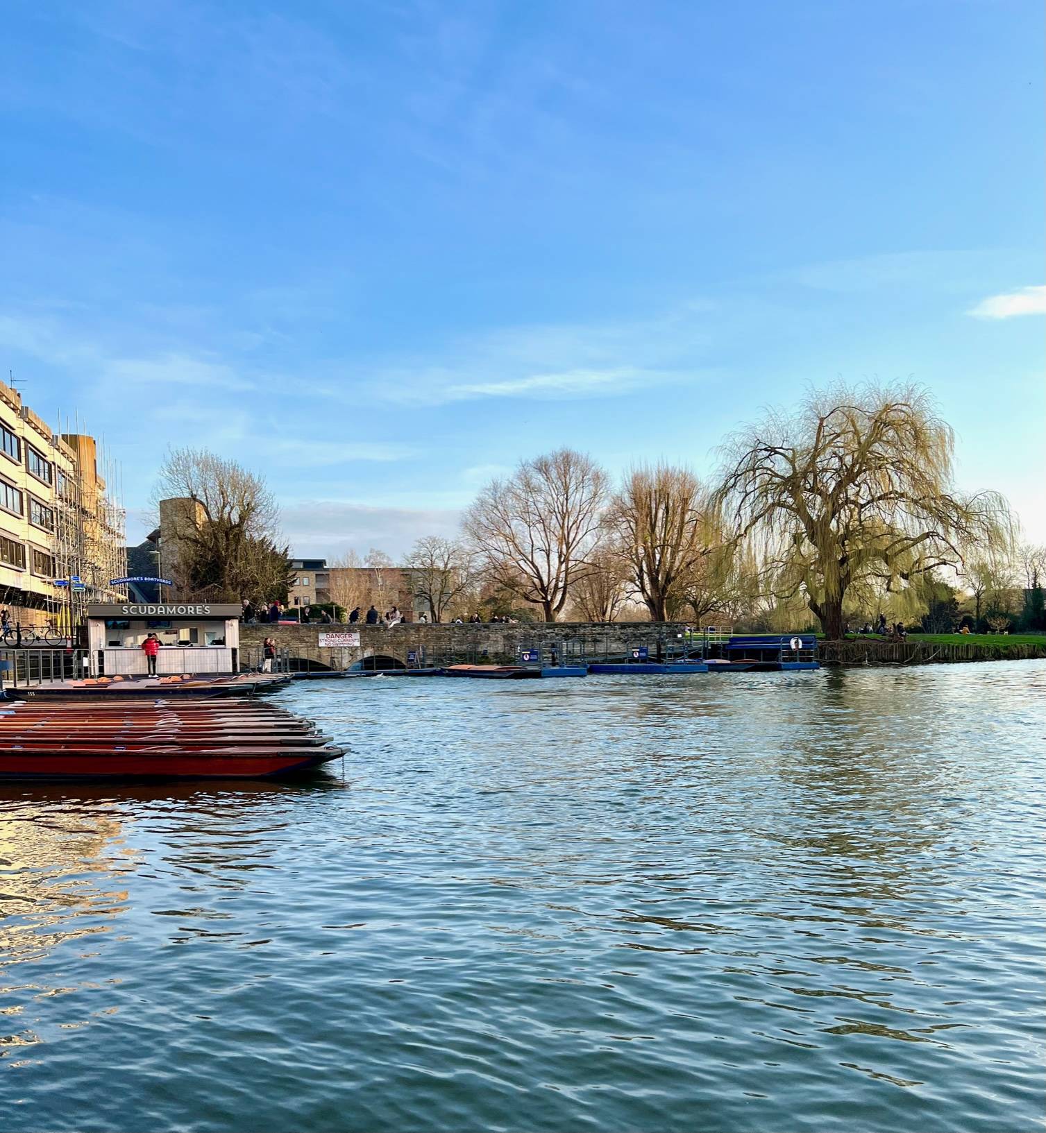 punting boats moored by the side of the river Cam