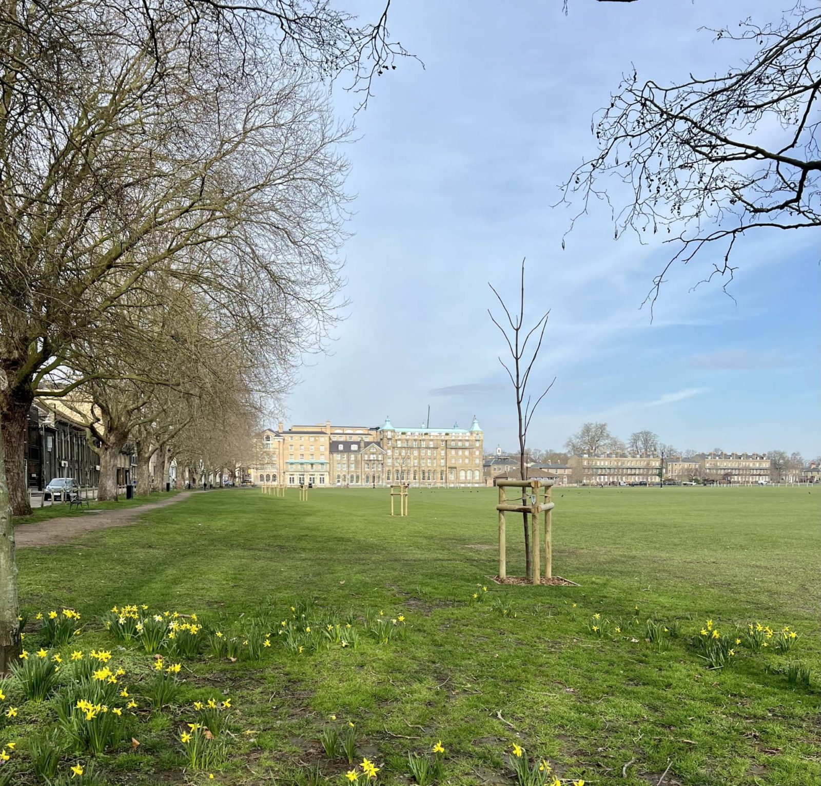 Open green space with georgina buildings in the distance