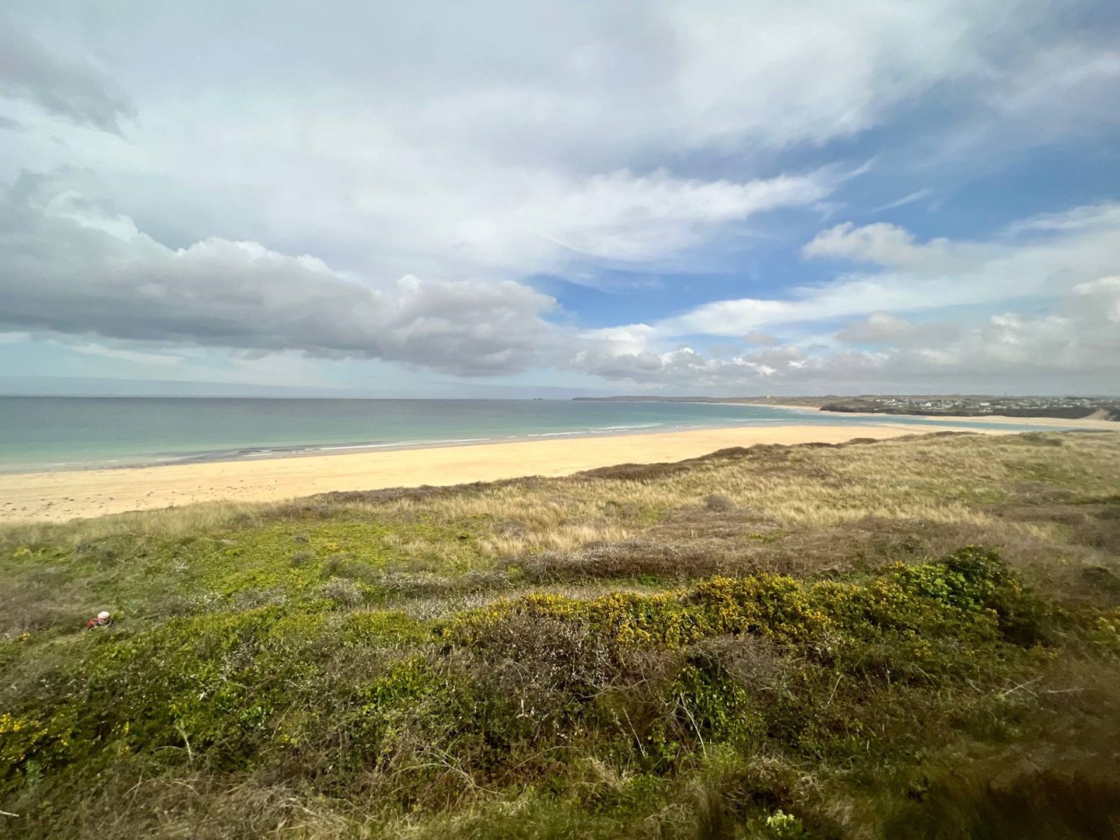 vista view of grassy sandbank, beach and sea